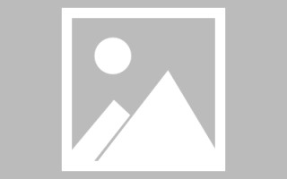 宁津网页优化和设计人才（网站优化职位）